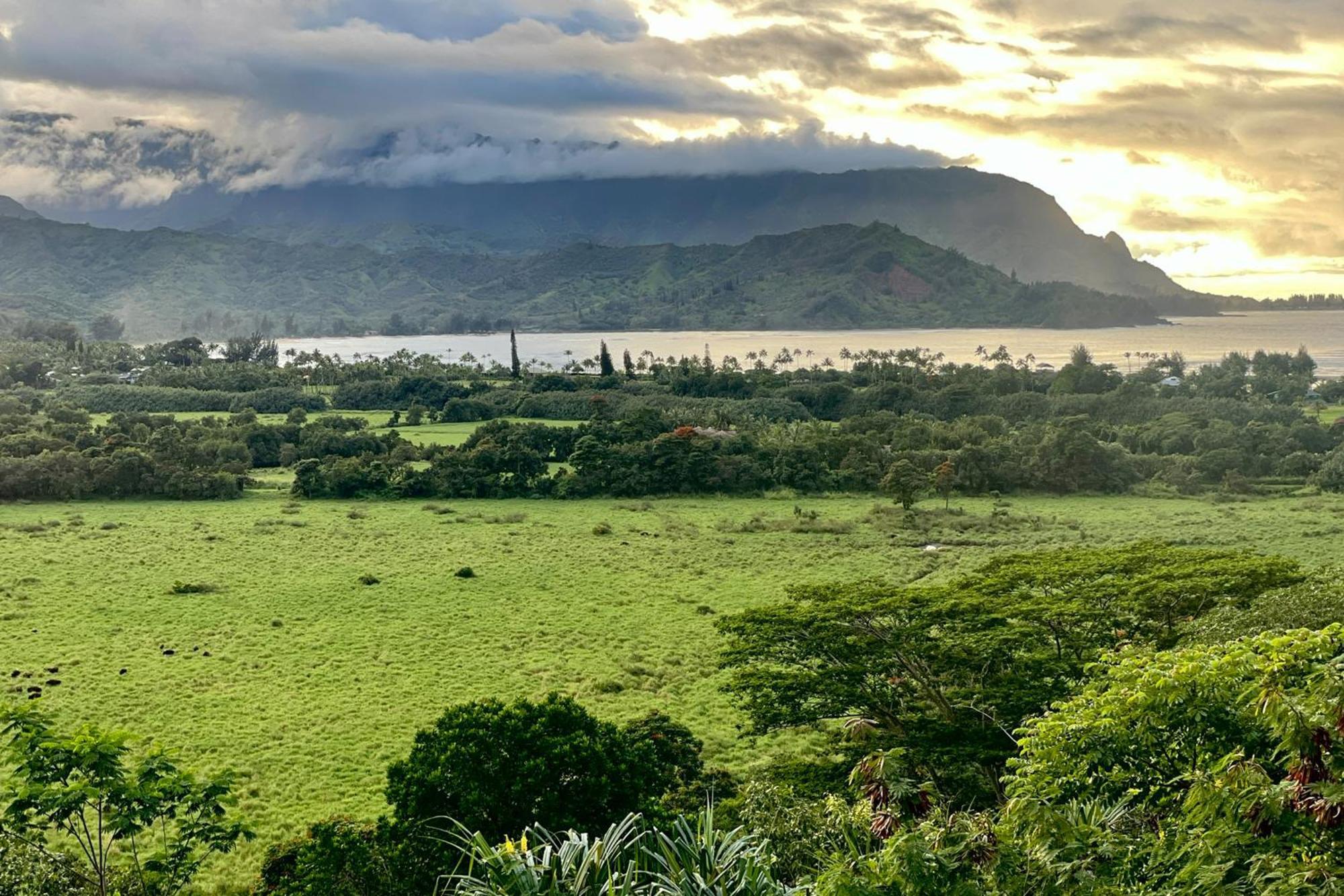 Villa View House Tower! Princeville Exterior foto